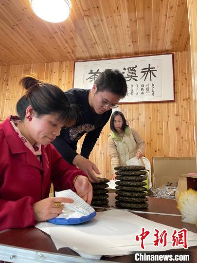 資料圖：杜贏(左二)在整理白茶餅?！×执阂?攝