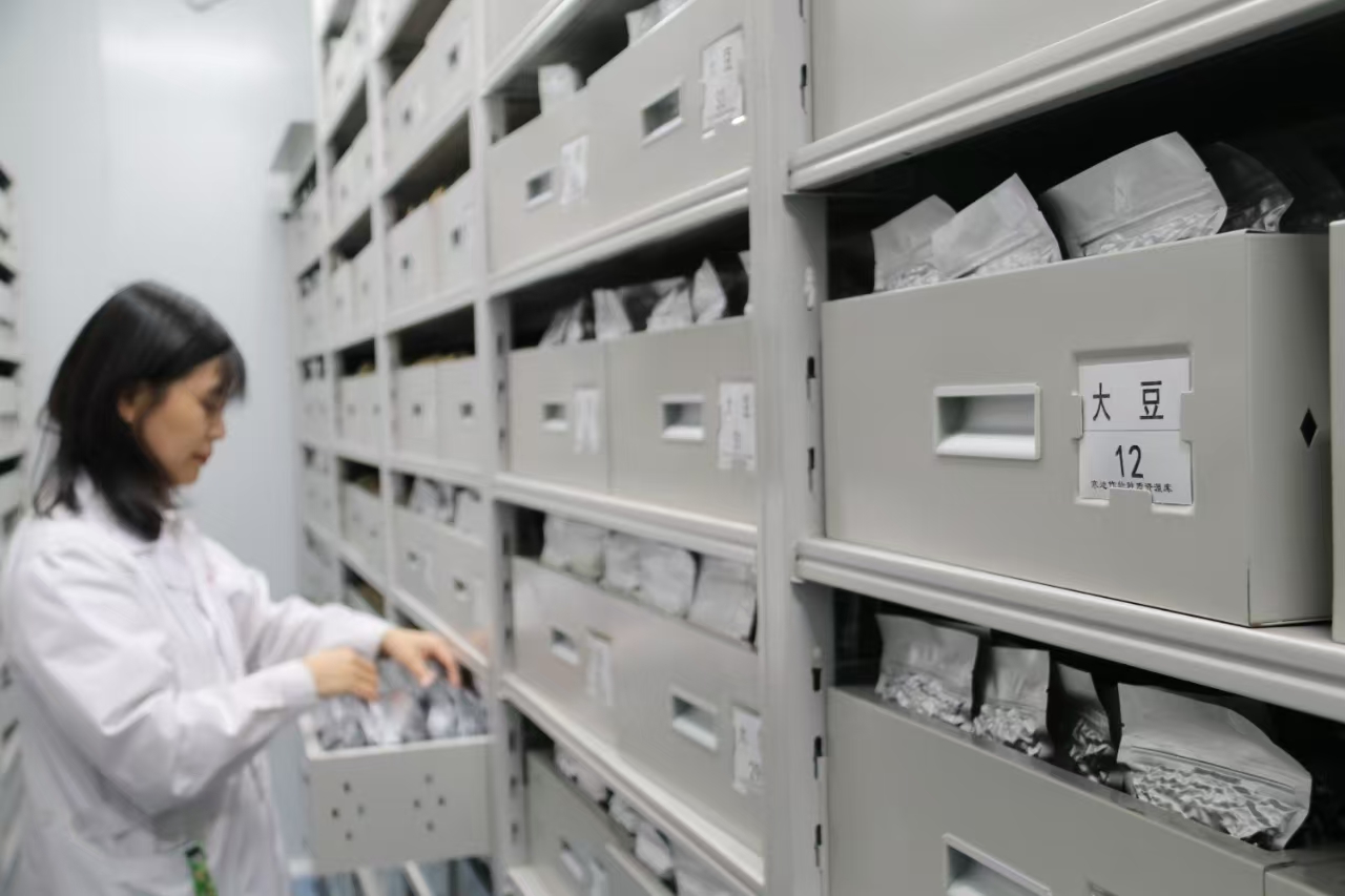 大豆種質(zhì)資源庫2.jpg